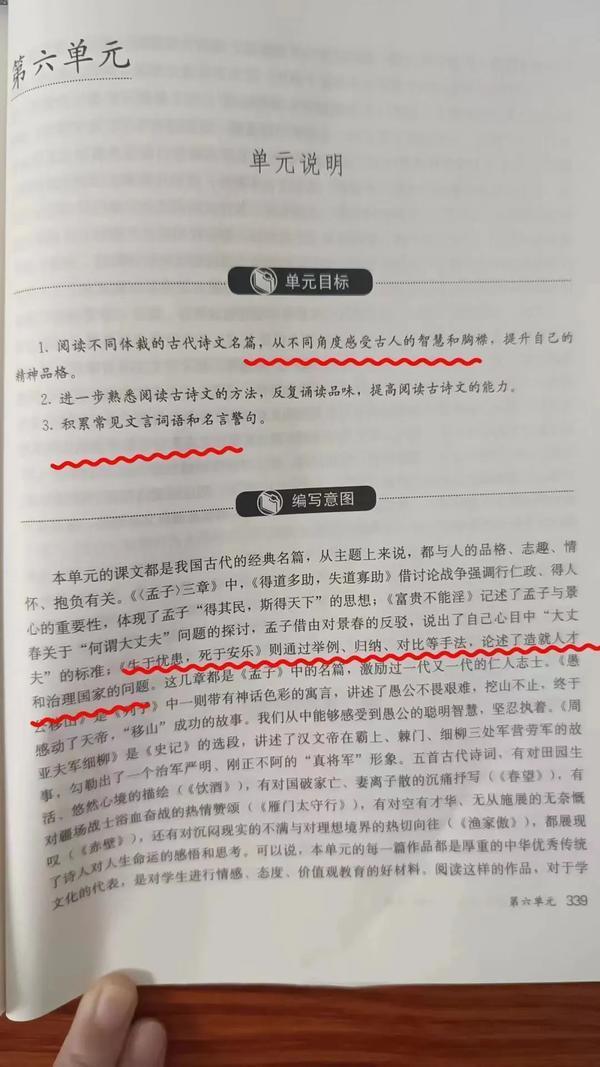 “中国用实际行动证明了”！华春莹:中国高水平对外开放的决心不会改变